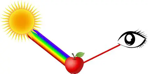 The Role of Light in Color Perception