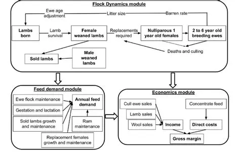 The Role of Mathematics in Understanding Flock Dynamics