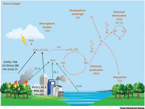 The Role of Nitrogen Dioxide in Smog Formation