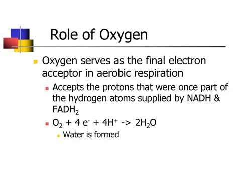 The Role of Oxygen in Chemical Equations