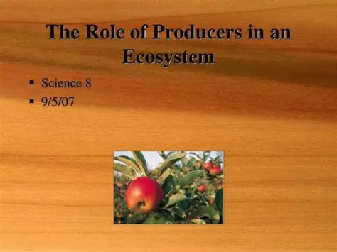 The Role of Producers in Ecosystems