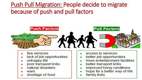The Role of Push and Pull Factors in Migration