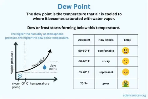 The Role of Temperature and Dewpoint