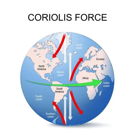 The Role of the Coriolis Force