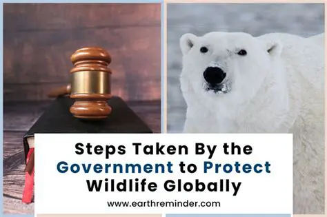 The Role of the Government in Protecting the Natural World
