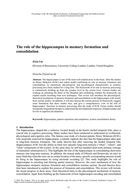 The Role of the Hippocampus in Memory Consolidation