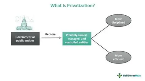 The Role of the State in Privatization