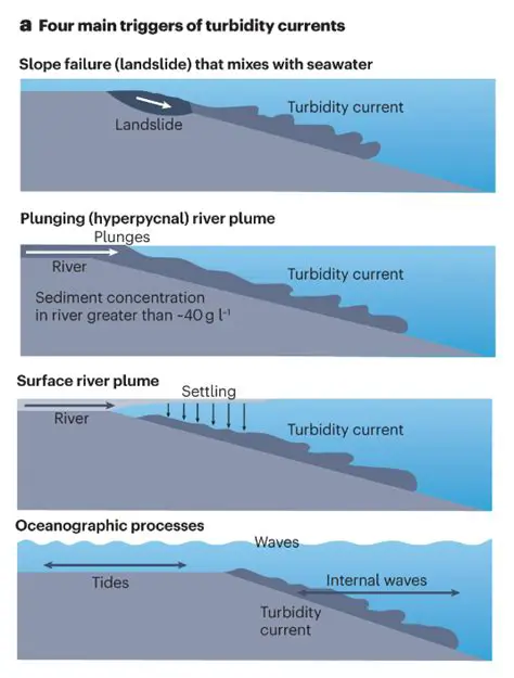 The Role of Turbidity Currents in Canyon Formation