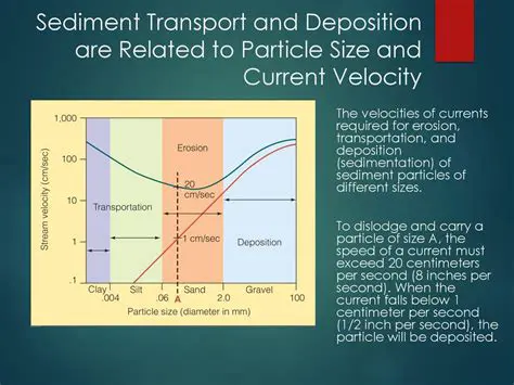 The Role of Velocity in Sediment Transport