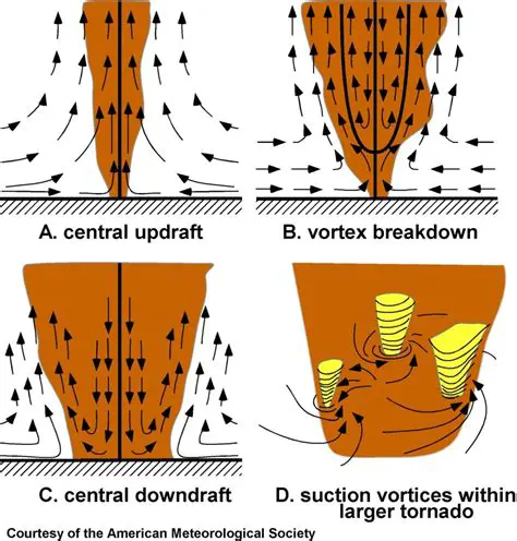 The Rotating Vortex Structure
