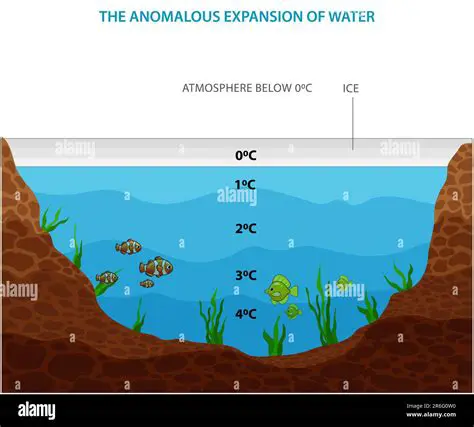 The Science Behind Anomalous Expansion of Water