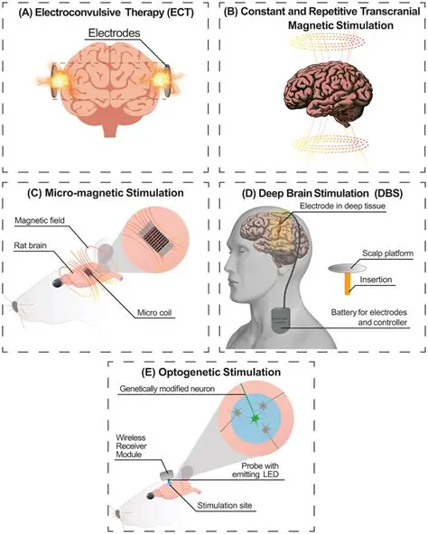 The Science Behind Brain Stimulation