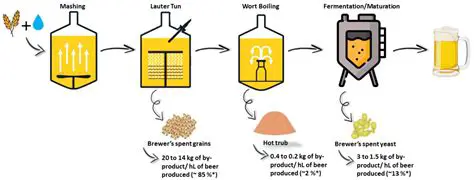 The Science Behind IPA Production
