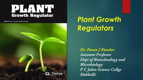 The Science Behind Plant Growth