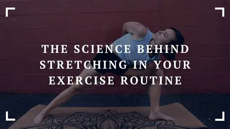 The Science Behind Stretching