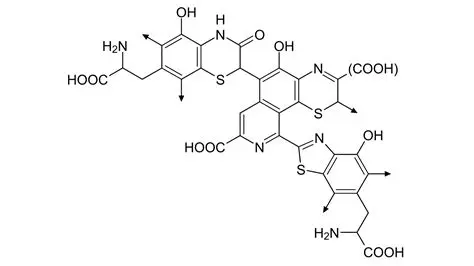 The Science Behind the Color Change