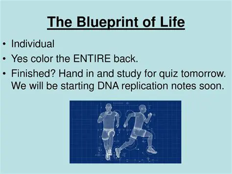 The Shared Blueprint of Life