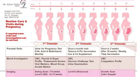 The Significance of Regular Pregnancy Visits and Iron Consumption