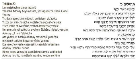 The Significance of Tehillim