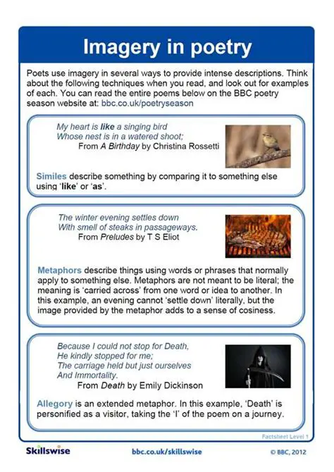 The Significance of Visual Imagery in Poetry