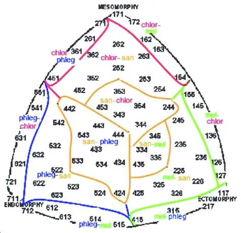 The Somatotype Calculation Process