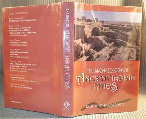The Sophistication of Ancient Indian Cities