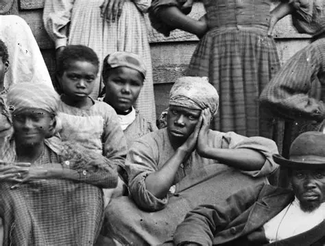 The Special Skills of African Slaves