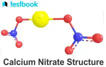 The Structure of Calcium Nitrate