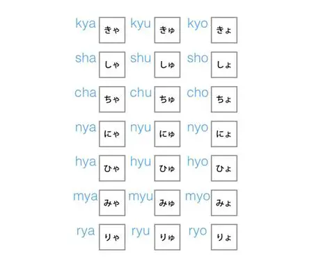 The Structure of the Syllabary