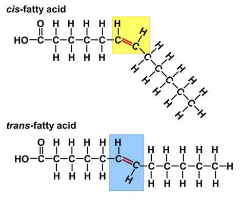 The Structure of Trans Fats