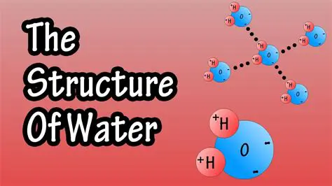 The Structure of Water Molecules