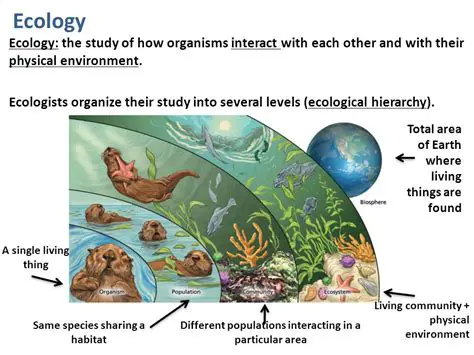 The Study of Interactions between Organisms and Their Physical Environment