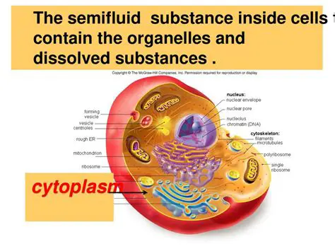 The Substance that Altered Her Duties