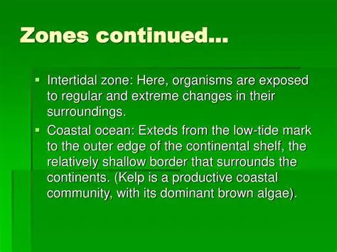 The Surroundings Continued