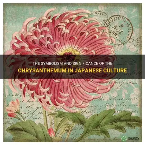 The Symbolic Significance of the Chrysanthemum in Japanese Culture