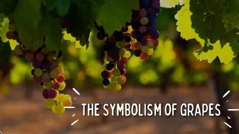 The Symbolism of the Glasses