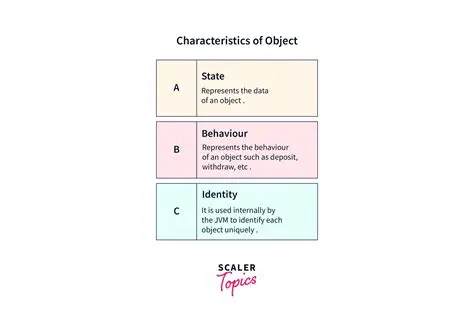 The Term Describing an Object in Orbit