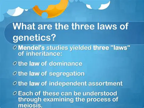 The Three Laws of Genetics