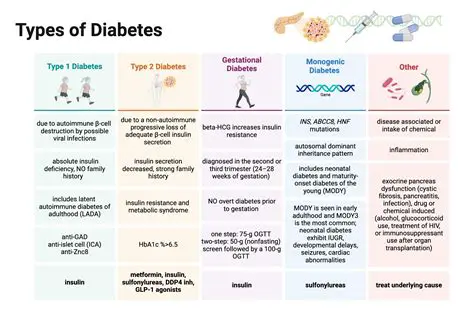 The Three Main Types of Diabetes
