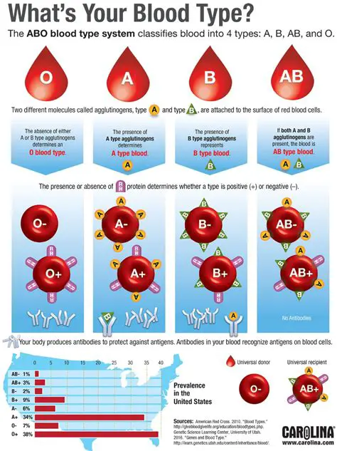 The Truth About Type A Blood