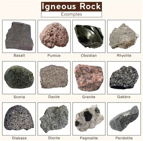 The Type of Rock that Coal is