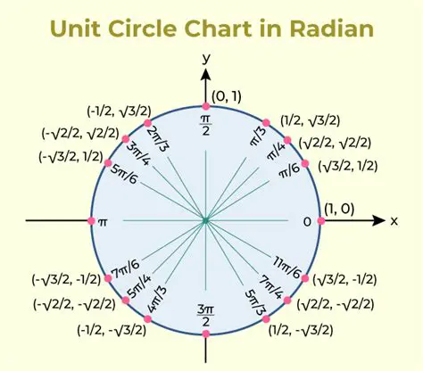 The Unit Circle and the Torus