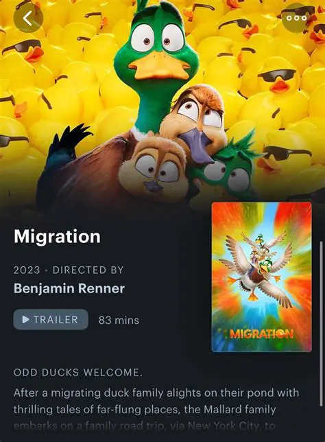 The Visuals and Soundtrack