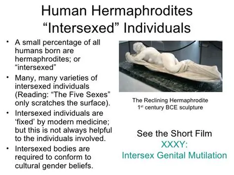 The World of Hermaphroditic Beings