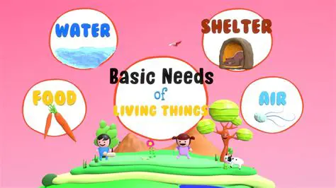 Three Important Needs for Water