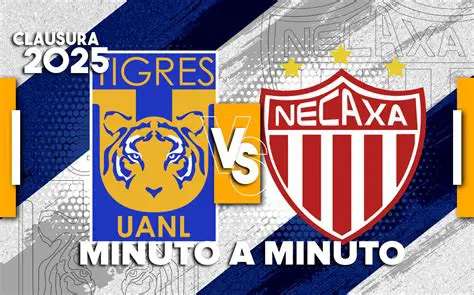 Tigres vs. Necaxa: A Deep Dive into the Lucha Libre of Liga MX