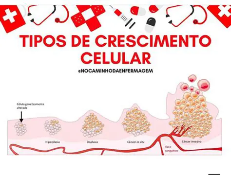 Tipos de Crescimento Celular