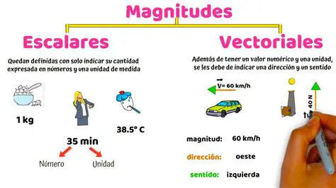 Tipos de Magnitud de la Imagen