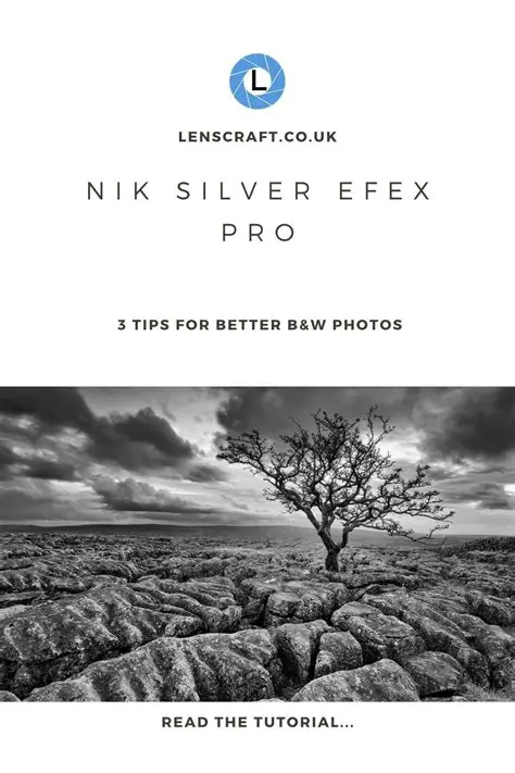 Tips and Tricks for Using Nik Collection