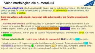 Tipurile de valori morfologice